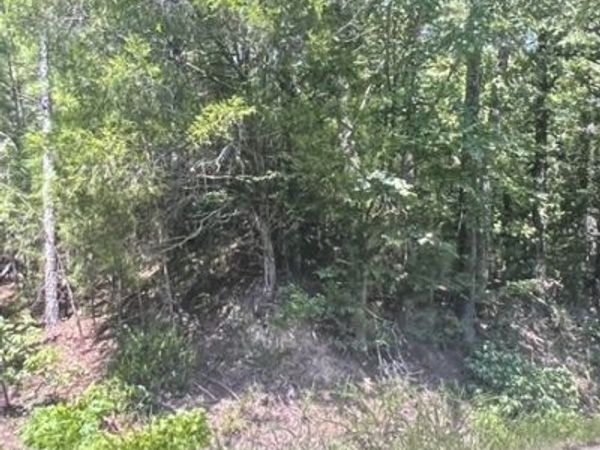 6450 Cuba Landing Rd, Waverly, TN 37185
