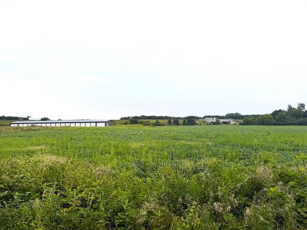 Lot 3 Van Tassel Rd, Osseo, WI 54758