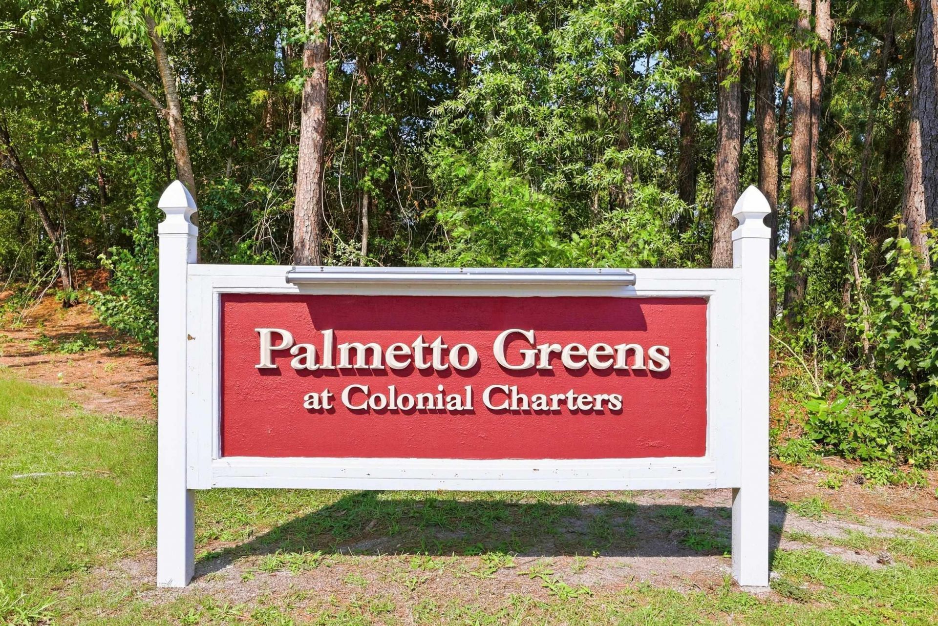218 Palmetto Green Dr. Photo 38