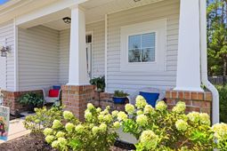 218 Palmetto Green Dr. photo 4