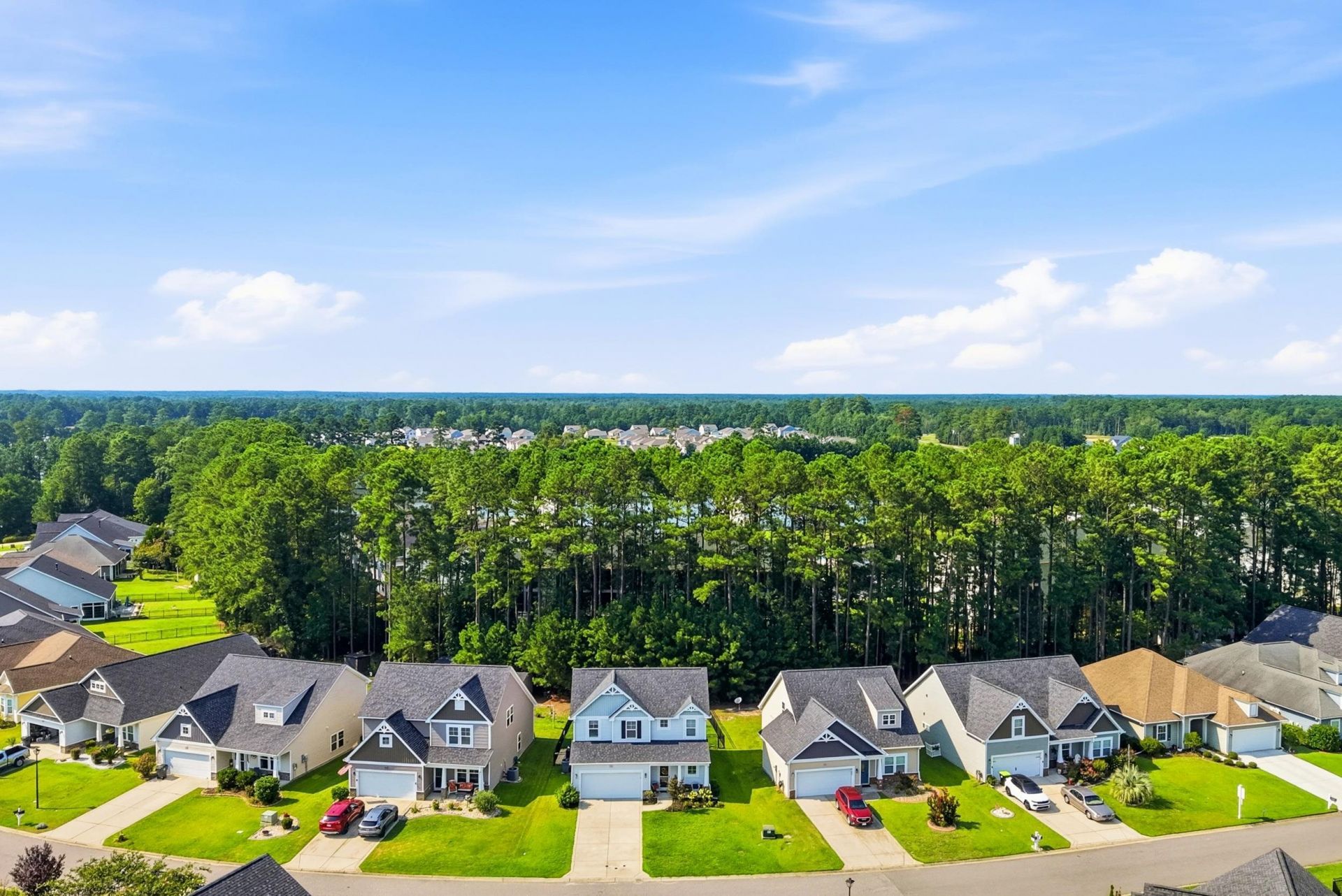 218 Palmetto Green Dr. Photo 42