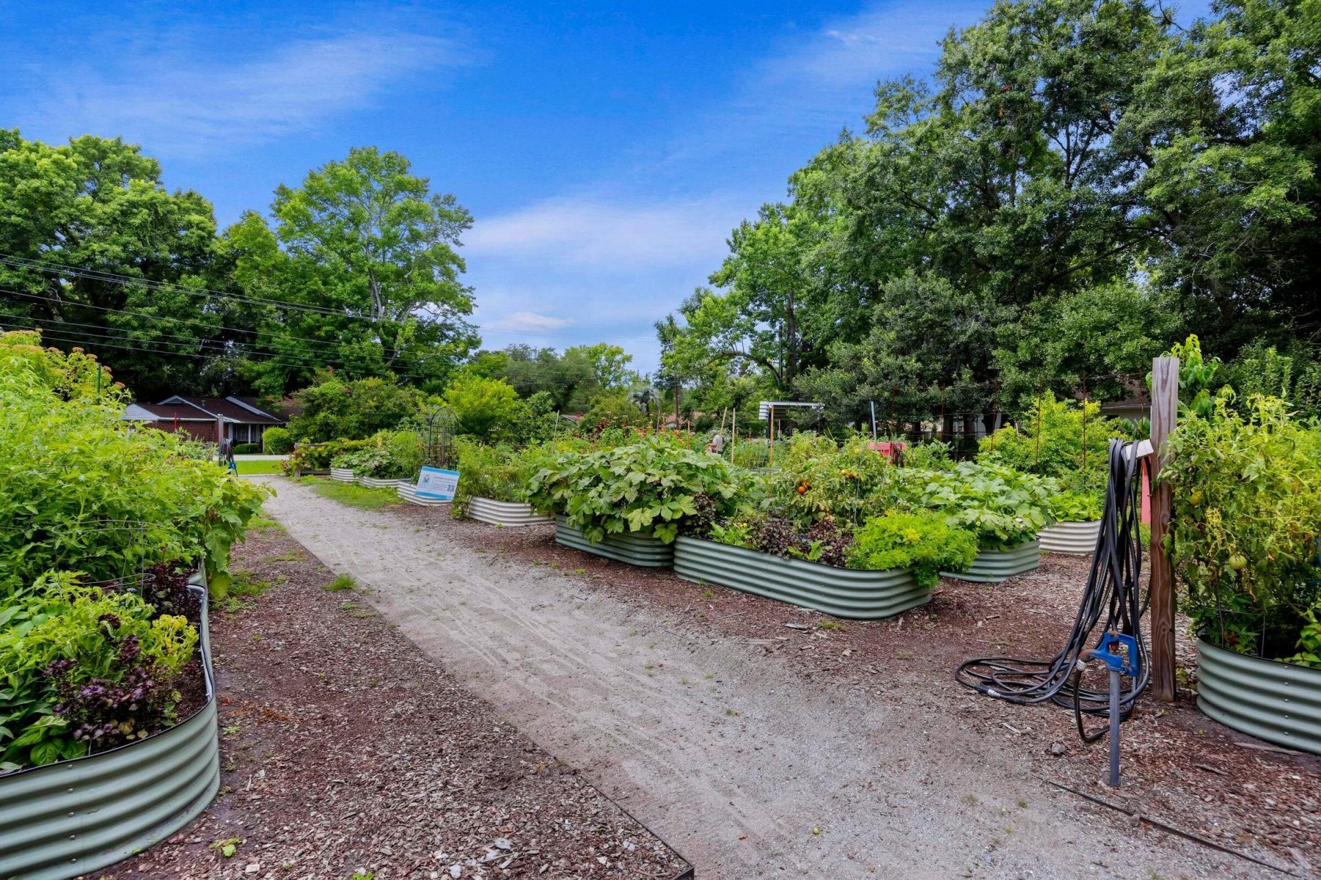 45 Sycamore Avenue Photo 48