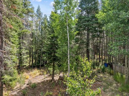 1234 E San Bernardino Avenue, South Lake Tahoe, CA 96150 Photo