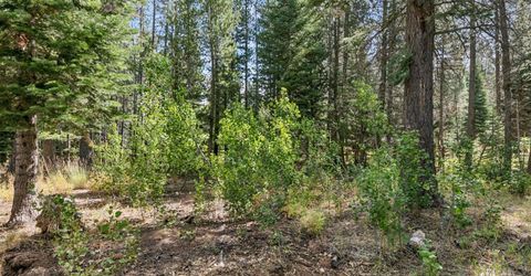 1234 E San Bernardino Avenue, South Lake Tahoe, CA 96150 Photo