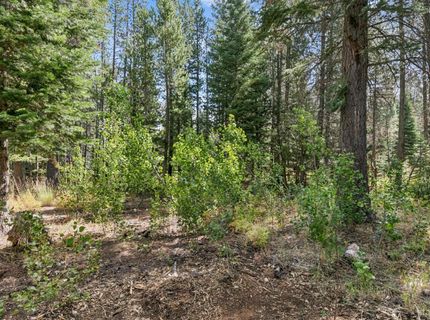 1234 E San Bernardino Avenue, South Lake Tahoe, CA 96150 Photo