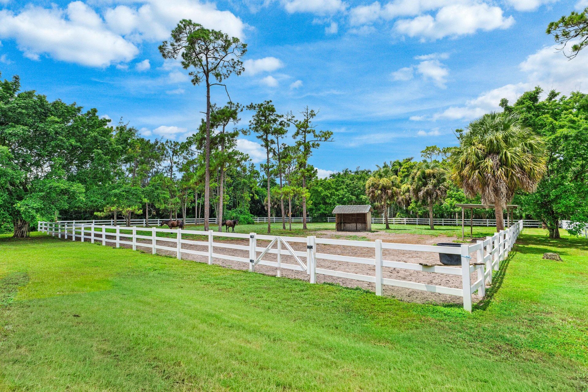 2749 A Road, Loxahatchee, FL 33470 Photo