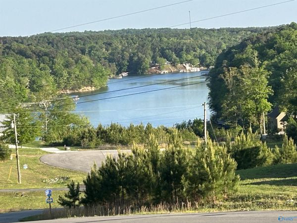 Lot 37 County Road 367, Crane Hill, AL 35053