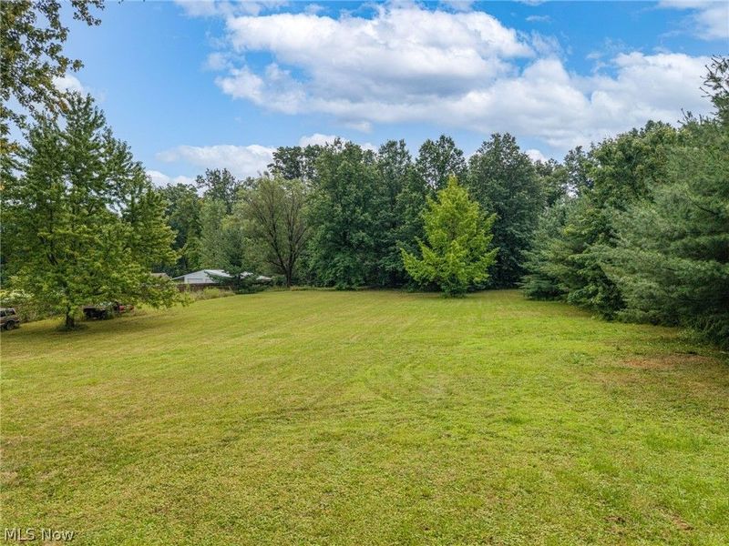 8010 Buffham Road, Lodi, OH 44254 Photo 26