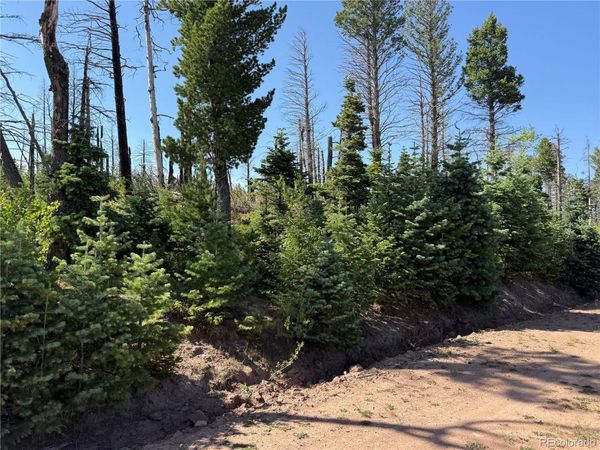 Lot 2498 Gilmartin Lane , Fort Garland, CO 81133