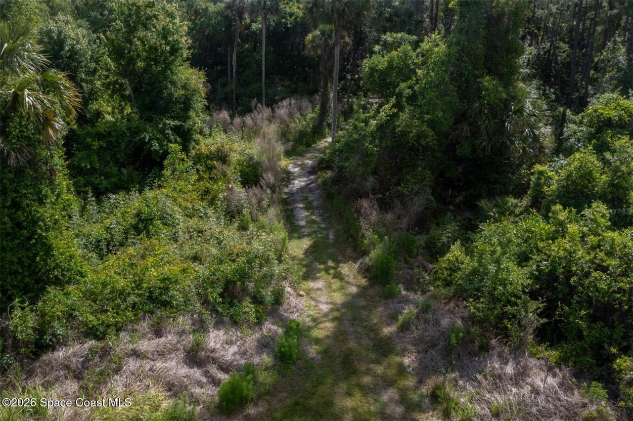 1851 Maytown Road , Oak Hill, FL 32759 Photo