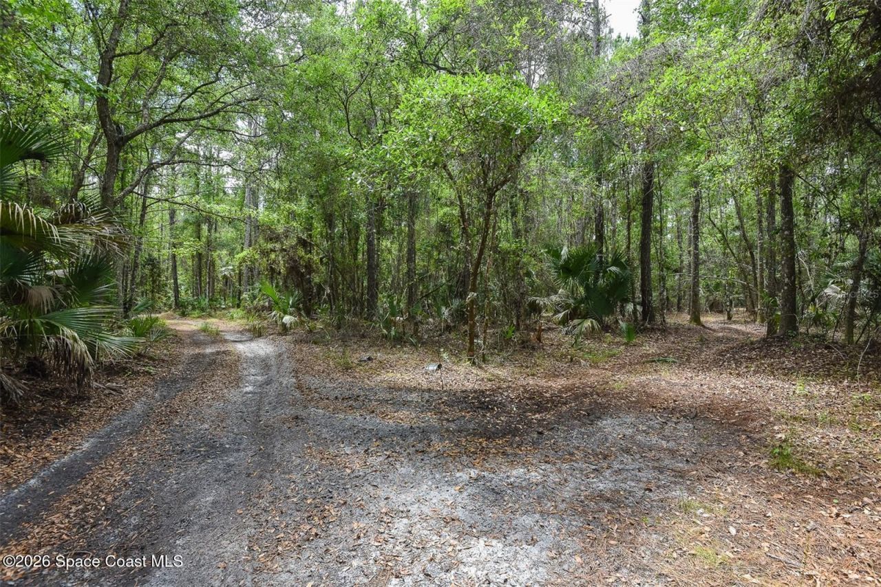 1851 Maytown Road , Oak Hill, FL 32759 Photo