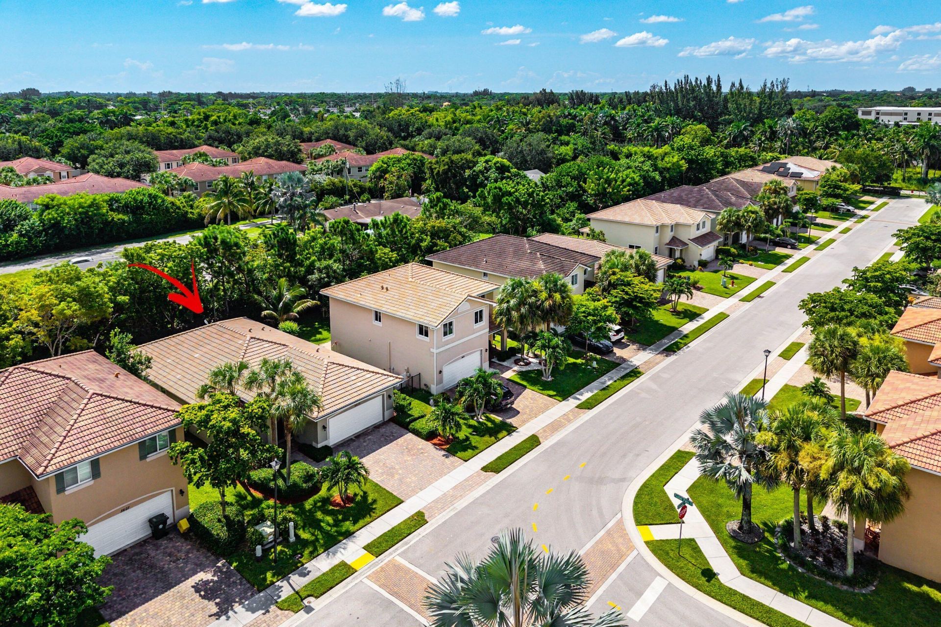 5613 Caranday Palm Drive, Greenacres, FL 33463 Photo