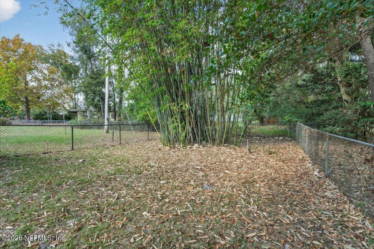 1285 Hatcher Road, Middleburg, FL 32068 Photo