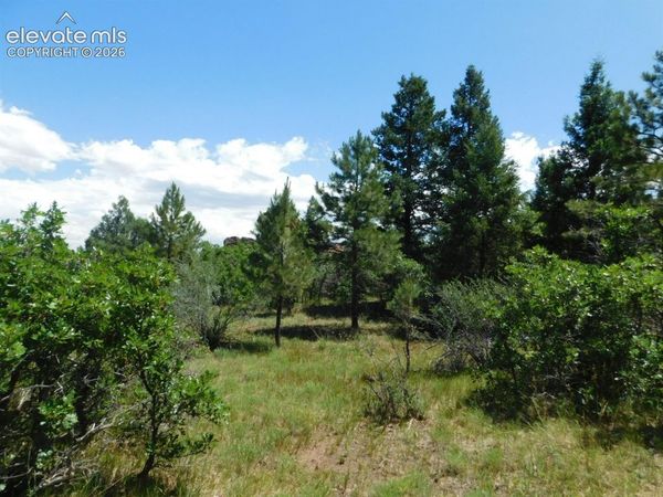 6447 Thunderbird Road, Larkspur, CO 80118