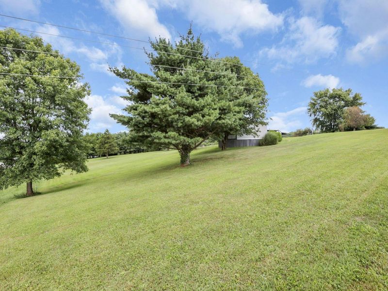 4570 Mainesville Road W, Junction City, OH 43748 Photo 43