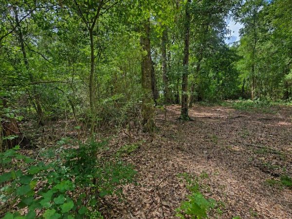 0 Second Avenue, Waynesville, GA 31566