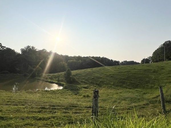 0 Wilkerson Road , Unit 3, Adolphus, KY 42120
