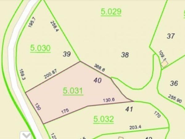 Lot 40 Sipsey Pines Road, Arley, AL 35541