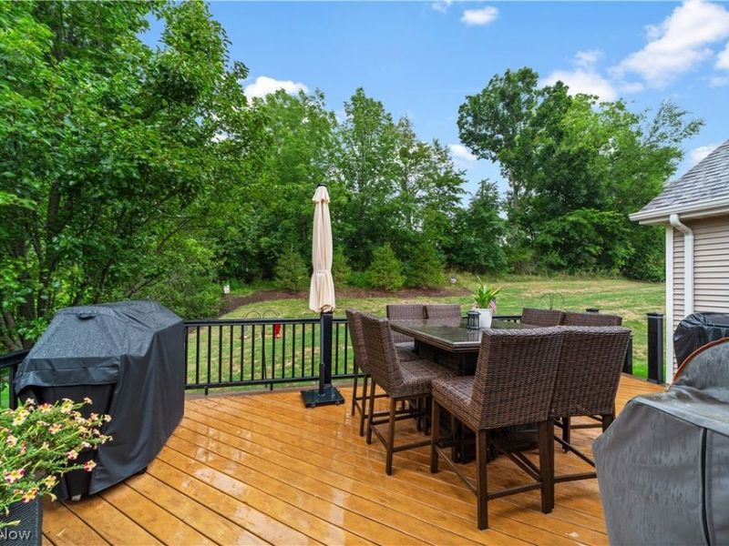 3701 Falcon Ridge Drive, Medina, OH 44256 Photo 32