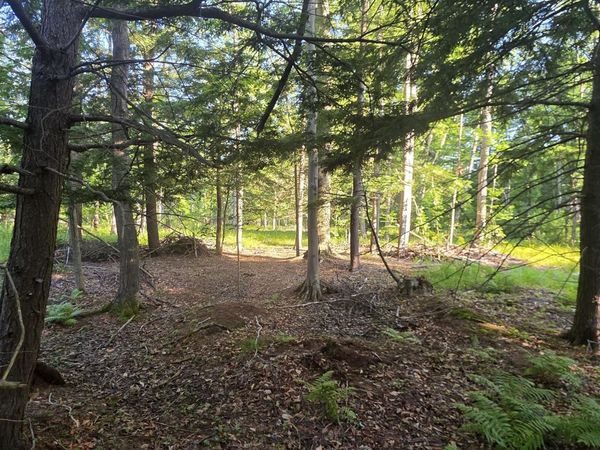 10 acres E Free Soil Road, Free Soil, MI 49411