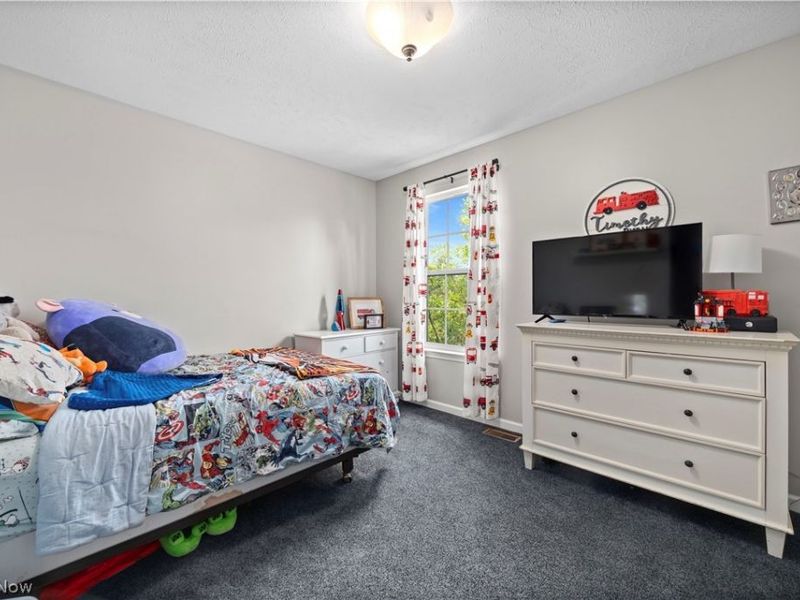 37970 Terrell Drive, North Ridgeville, OH 44039 Photo 29