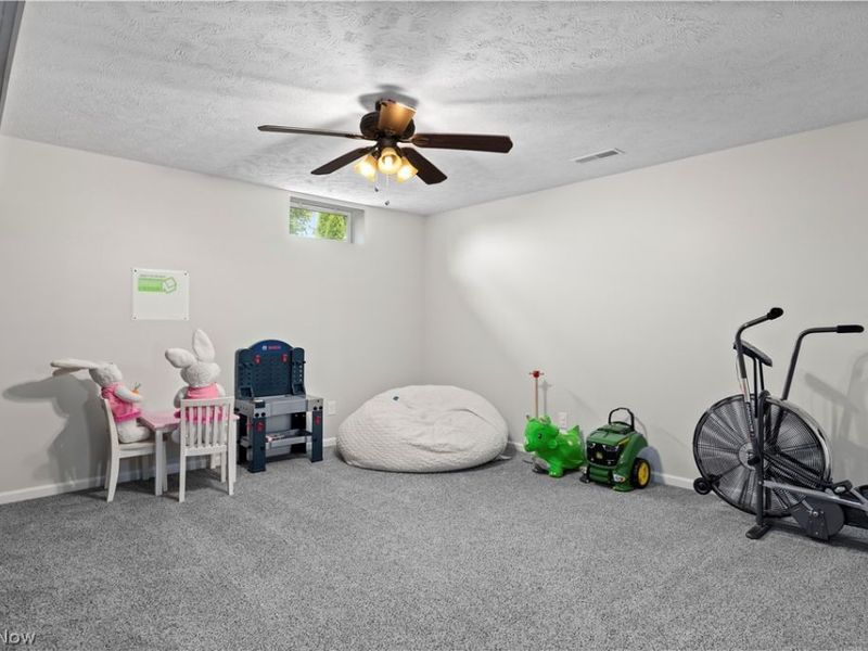 37970 Terrell Drive, North Ridgeville, OH 44039 Photo 41