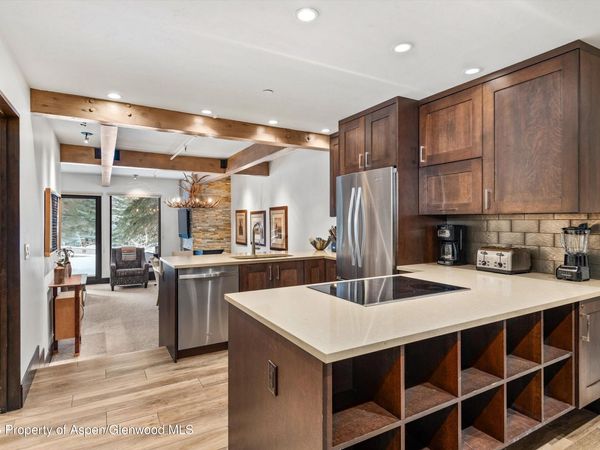 610 S West End Street, Unit E103, Aspen, CO 81611