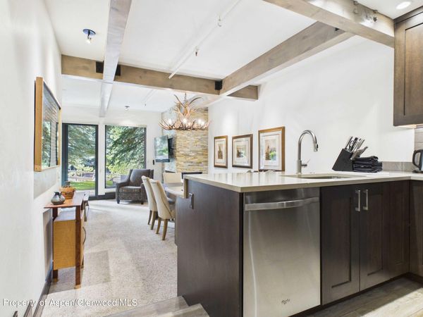 610 S West End Street, Unit E103, Aspen, CO 81611