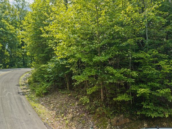Whetstone Rd, Sevierville, TN 37862