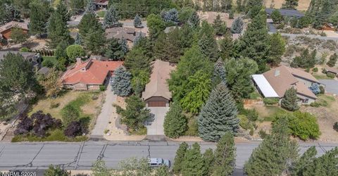 195 Hansen Drive, Verdi, NV 89439 Photo