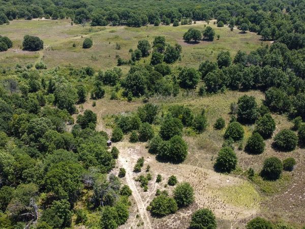 N 3820 Road , Weleetka, OK 74880