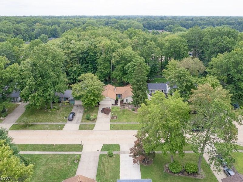 5901 Hawthorne Hollow, North Ridgeville, OH 44039 Photo 24