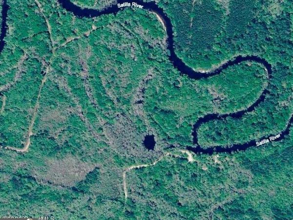 75+/- ACRES Lewis Landing, Nahunta, GA 31553