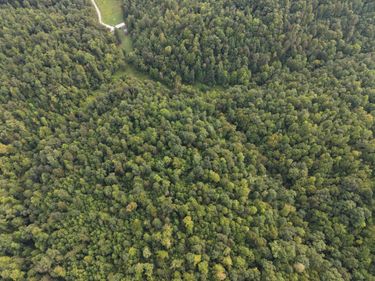 707 707 Shotgun Hollow Road, Frenchburg, KY 40322