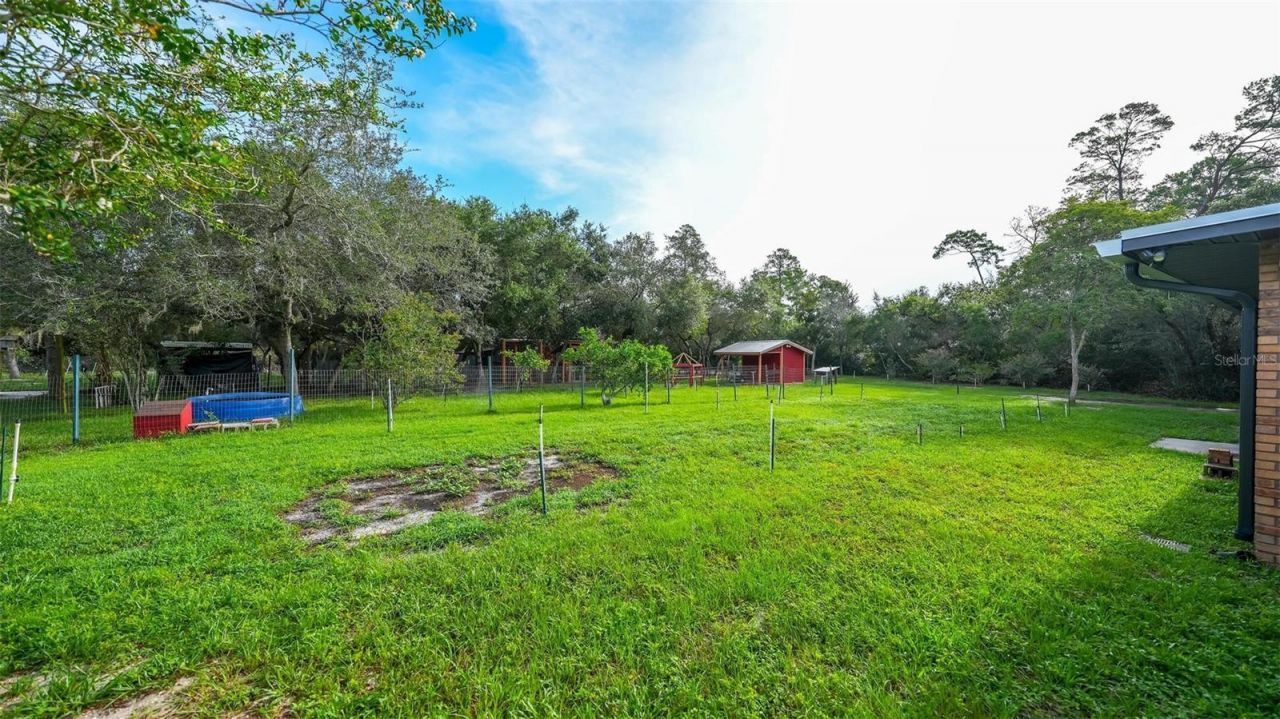 445 Polite Drive , Deltona, FL 32725 Photo