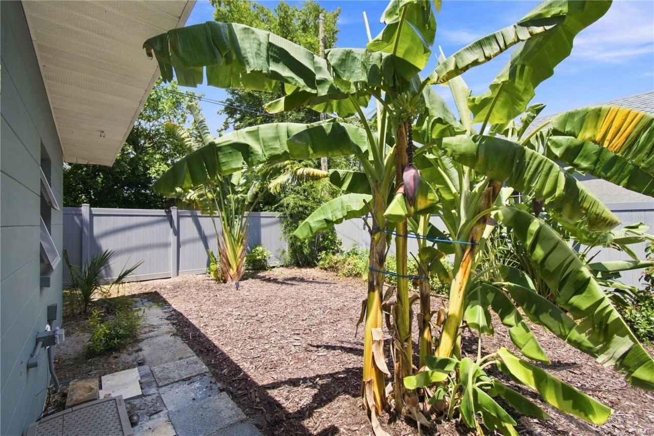 3005 10th Avenue N, Saint Petersburg, FL 33713 Photo