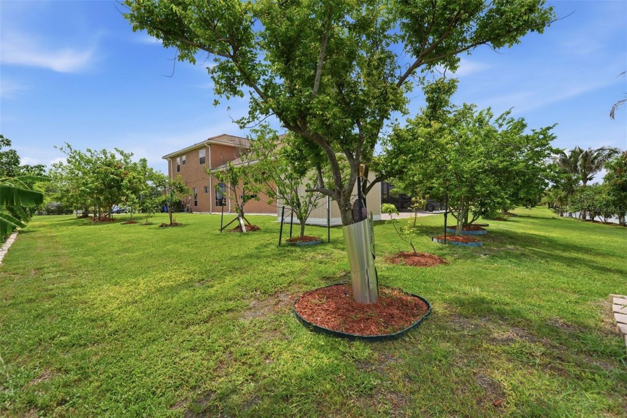 5416 Conch Shell Place , Apollo Beach, FL 33572 Photo