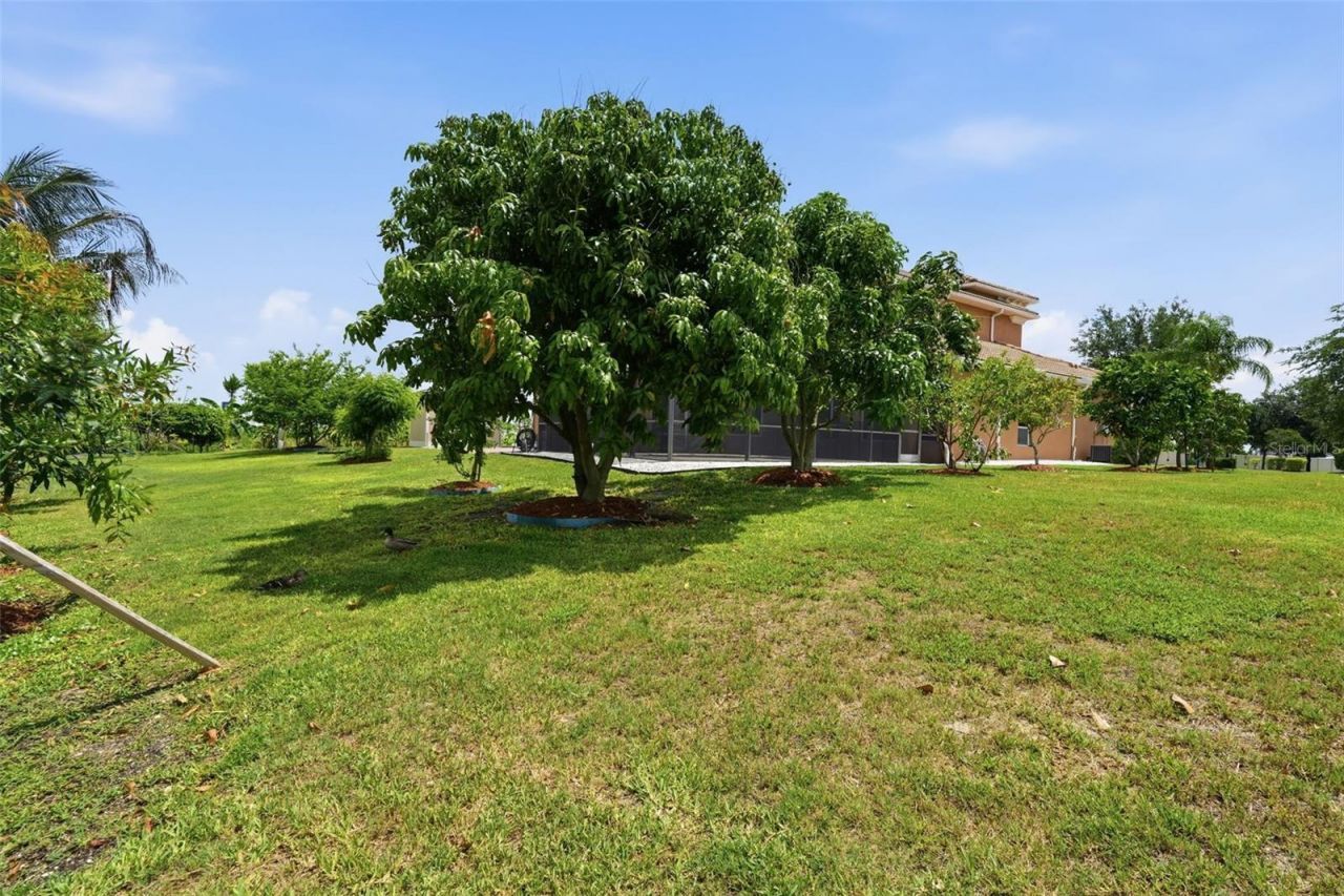 5416 Conch Shell Place , Apollo Beach, FL 33572 Photo