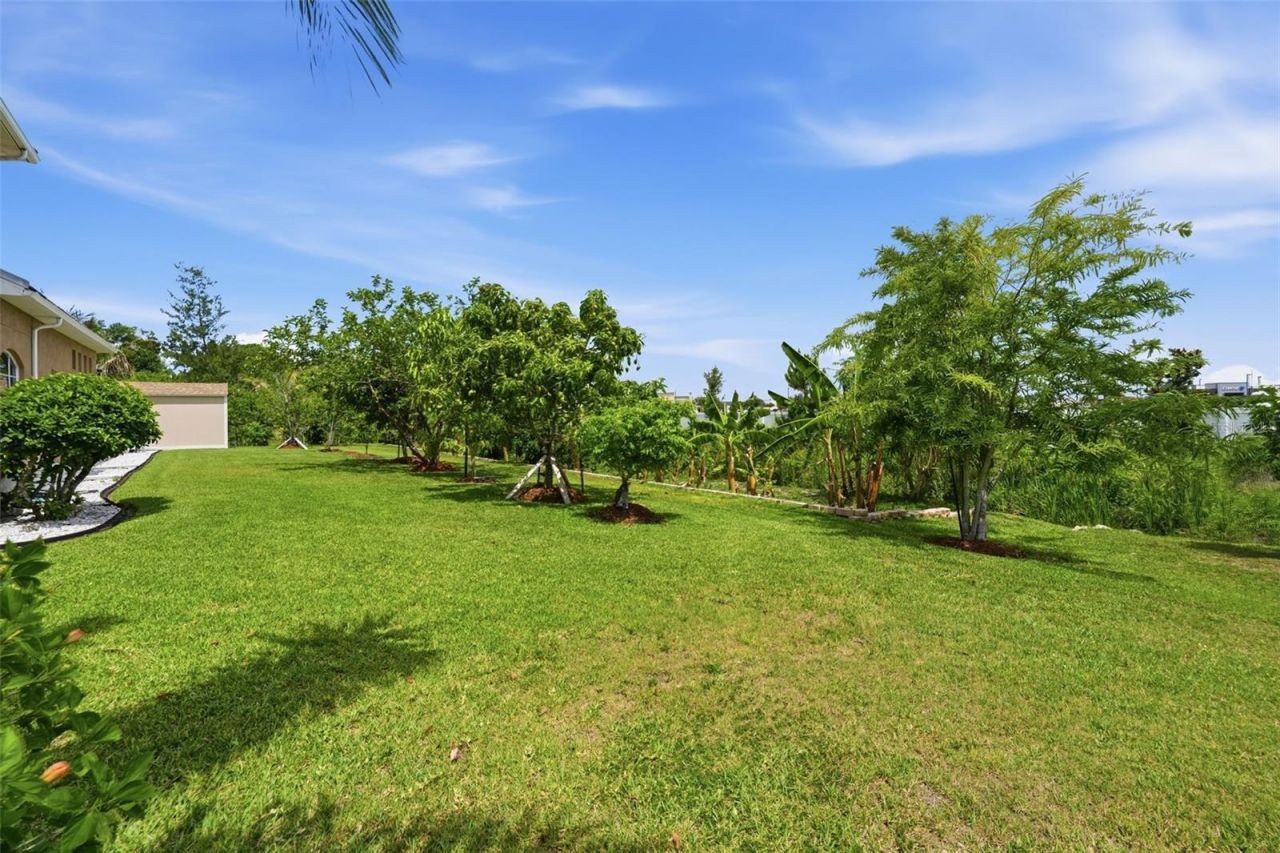 5416 Conch Shell Place , Apollo Beach, FL 33572 Photo