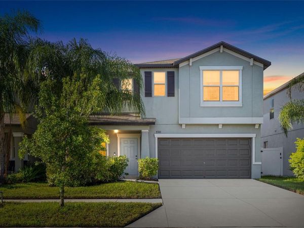 7310 PEARLY EVERLASTING AVENUE , TAMPA, FL 33619