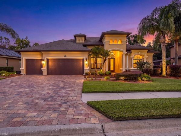 15312 AZRA DRIVE , ODESSA, FL 33556