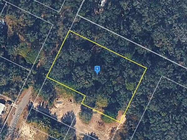 17402 TROJANTOWN DRIVE , SPRING HILL, FL 34610