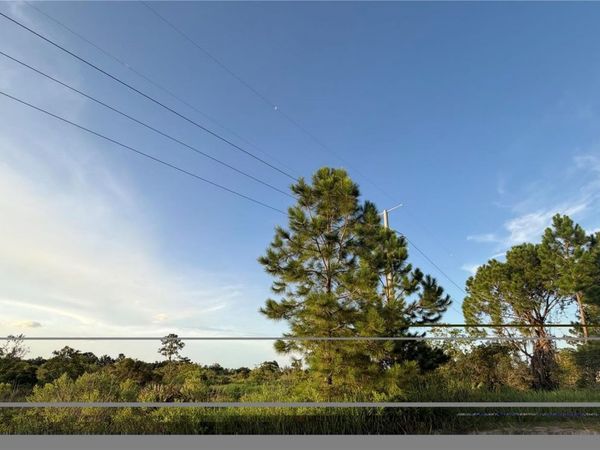 0 ALLISON AVENUE , LAKE WALES, FL 33859