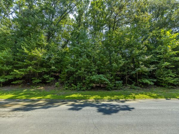 Lot 8 Cove Springs Drive, Dandridge, TN 37725