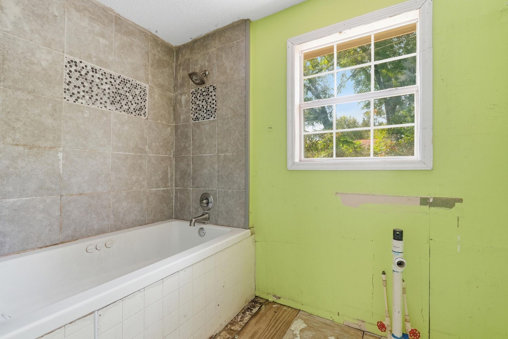 125 Lewis Street Photo 15