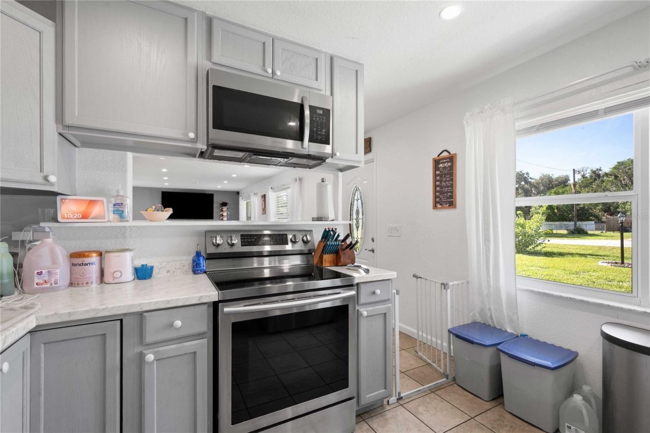 1056 Cr 463 , Lake Panasoffkee, FL 33538 Photo