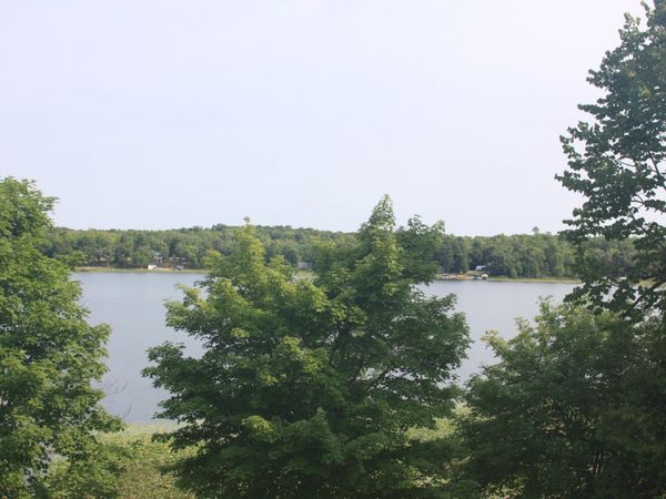 38173 County Highway 34, Ogema, MN 56569