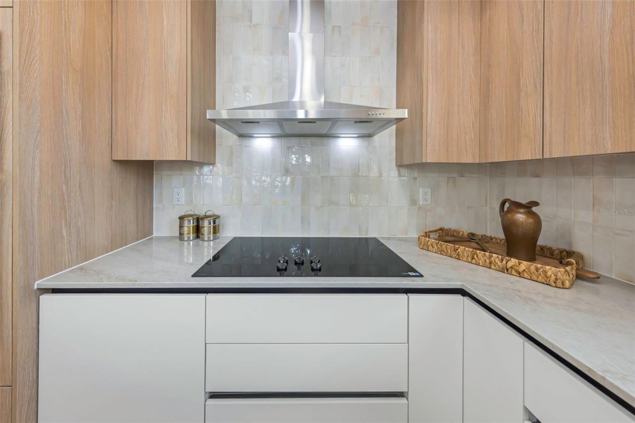 617 Folsom Street S, Saint Petersburg, FL 33707 Photo