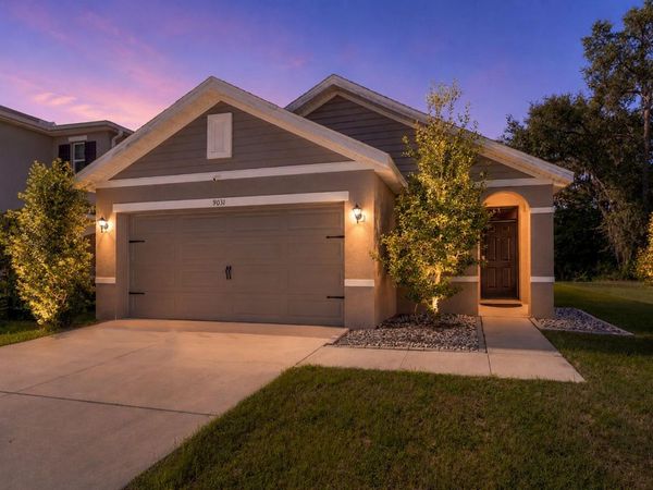9031 WATER CHESTNUT DRIVE , TEMPLE TERRACE, FL 33637