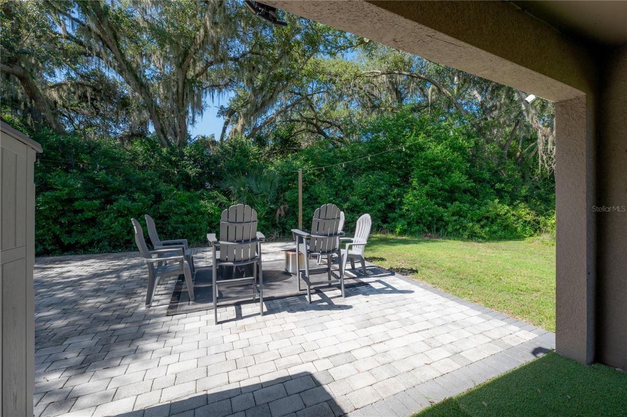 9031 Water Chestnut Drive , Temple Terrace, FL 33637 Photo